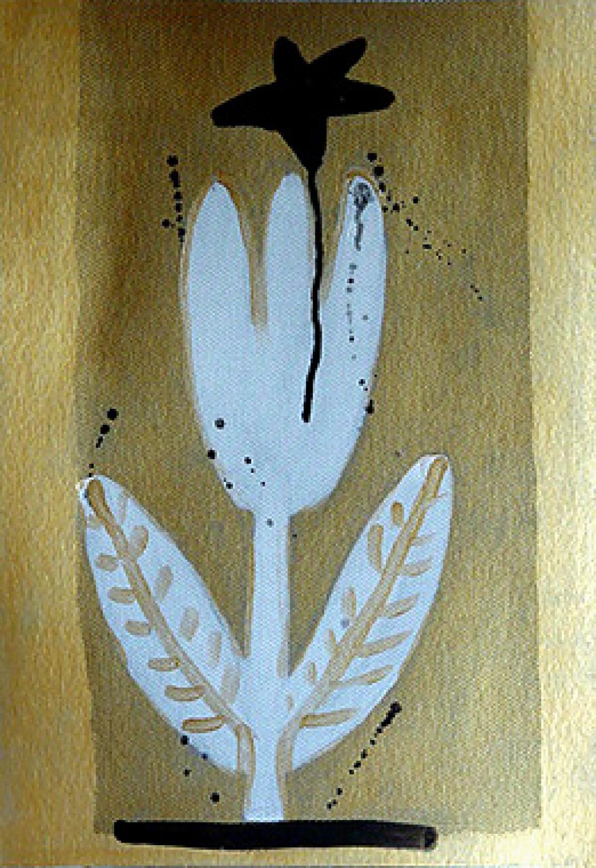 Weiße Blume, schwarzer Stern